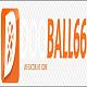 dooball66