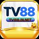 Tv88innet