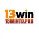 13wintdpro