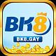 Bk8gay