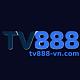 vntv888