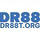 dr88torg