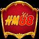 Hm88topcom