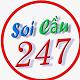 soicau247net