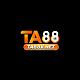 ta88vnet
