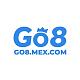 go8mexcom