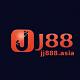 vnjj888