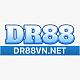 dr88vnnet