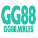 gg88wales1
