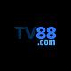 tv88stvincen