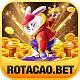rotacaobet