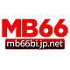 mb66bijpnet