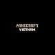 minecraftvie