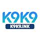 k9k9ink