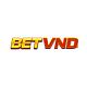 betvndink