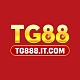 tg888itcom