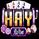 Haywin1ad