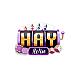 Haywin1rocks