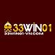 vn33win01