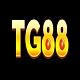 Tg8899top