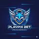 playpixoffi