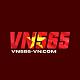 vnvn565