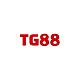 ktg88com