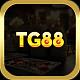 Tg88band