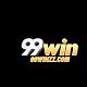 99Winzzcom