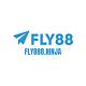 fly888ninja