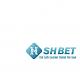 shbet800com3