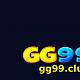 vngg99vn