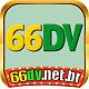 66dvnetbr