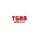 Tg886itcom