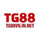 tg88vninnet