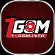 1gominfo1