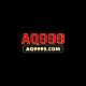 aq999scom