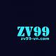 vnzv99vn