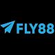 fly888snet