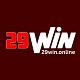 vn29winvn