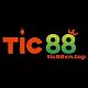 tic88vntop