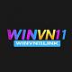 vnwinvn11vn