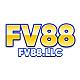 fv88llc