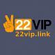vn22vipvn