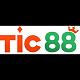 tic88art