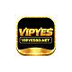 Vipyesbdnet
