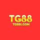 tg88icom