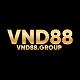 vnd88group