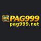 vnpag999