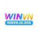 winvnaeorg